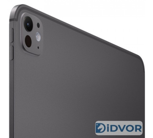 Apple iPad Pro 13 M5 (2025) 512Gb Wi-Fi + Cellular Space Black (Черный 12 Гб