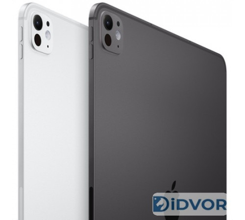 Apple iPad Pro 13 M4 (2024) 512Gb Wi-Fi + Cellular Silver 8 Гб