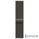 Apple Watch Series 11 (GPS+Cellular) 42mm Slate Titanium Case with Slate Milanese Loop