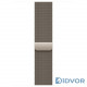 Apple Watch Series 11 (GPS+Cellular) 46mm Natural Titanium Case with Natural Milanese Loop